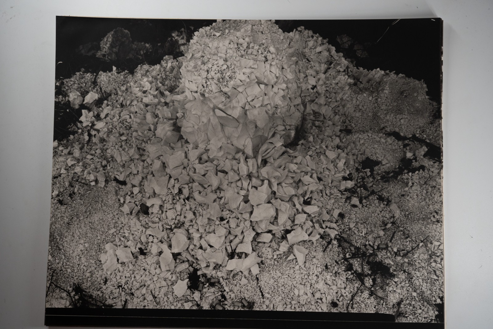 TIRAGE photo Argentique France Détail de nature 40X50cm 1970