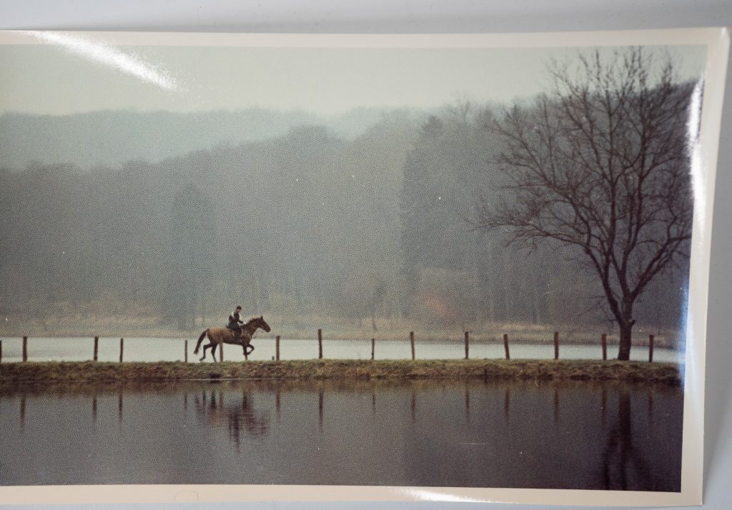 PHOTO Argentique	France	chasse à courre vénerie cheval 15x24cm	1970