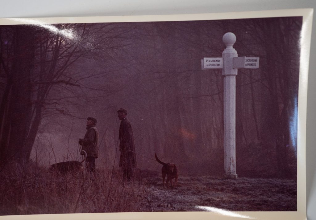 PHOTO Argentique France chasse à courre vénerie cheval COR CHIEN 15x24cm 1970