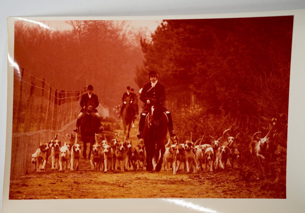 PHOTO Argentique France chasse à courre vénerie cheval CHIEN 15x24cm 1970