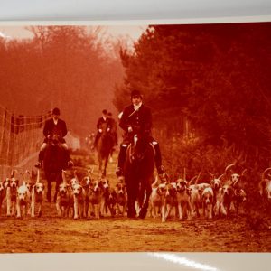 PHOTO Argentique	France	chasse à courre vénerie cheval CHIEN 15x24cm	1970