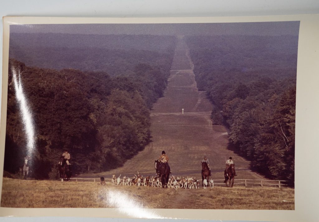 PHOTO Argentique	France	chasse à courre vénerie cheval 15x24cm	1970