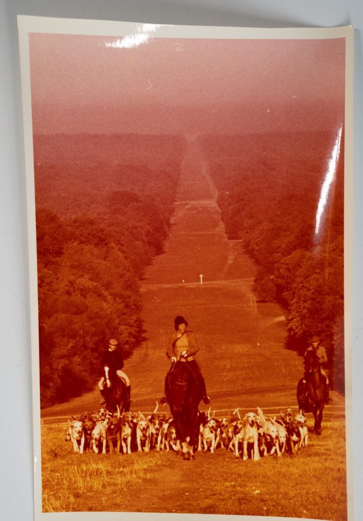PHOTO Argentique	France	chasse à courre vénerie cheval 15x24cm	1970