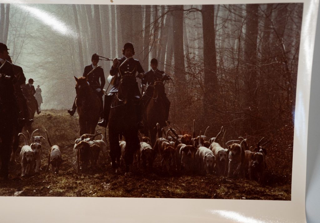 PHOTO Argentique	France	chasse à courre vénerie cheval CHIEN 15x24cm	1970