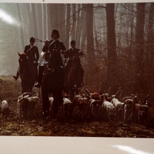 PHOTO Argentique	France	chasse à courre vénerie cheval CHIEN 15x24cm	1970