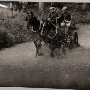 PHOTO Argentique cochers Attelage de Chevaux de Trait; rallye équestre 18X24cm