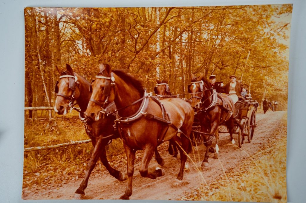PHOTO Argentique cochers Attelage de Chevaux de Trait; rallye équestre 18X24cm