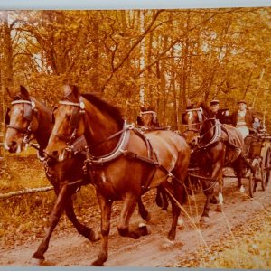 PHOTO Argentique cochers Attelage de Chevaux de Trait; rallye équestre 18X24cm