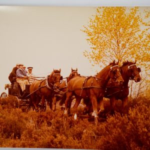 PHOTO Argentique cochers Attelage de Chevaux de Trait; rallye équestre 18X24cm