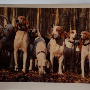 PHOTO Argentique France chasse à courre vénerie cheval 24x30cm 1970