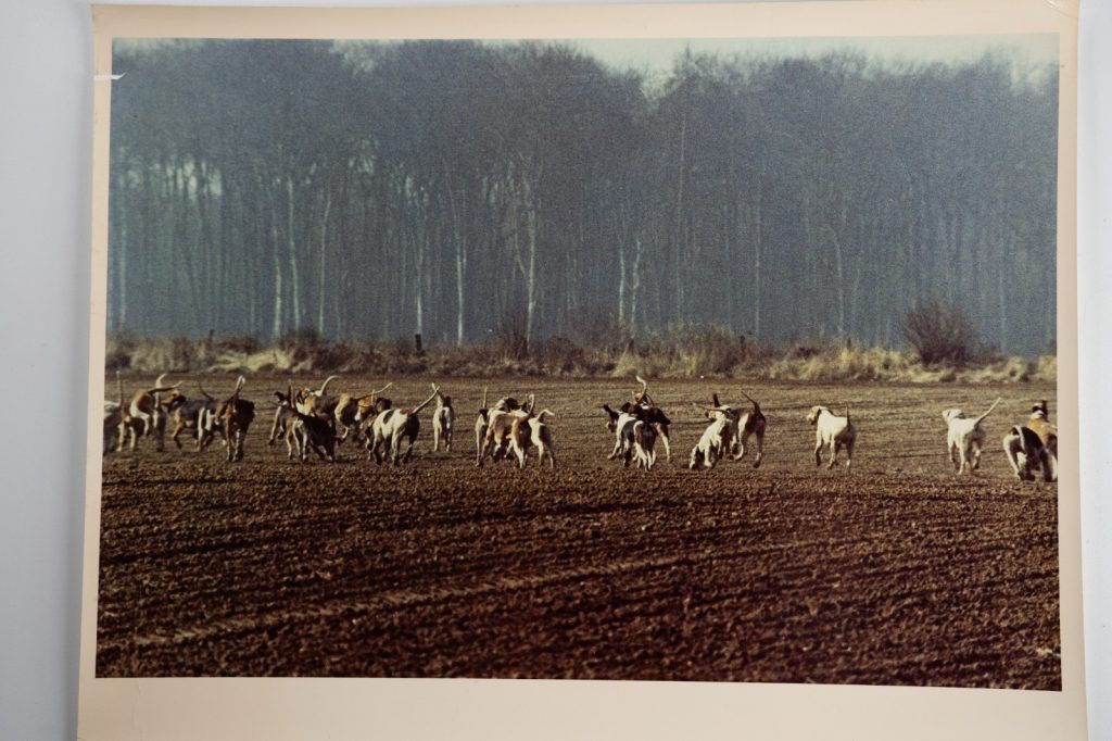 PHOTO Argentique France chasse à courre vénerie cheval 24x30cm 1970