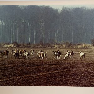 PHOTO Argentique	France	chasse à courre vénerie cheval	24x30cm	1970