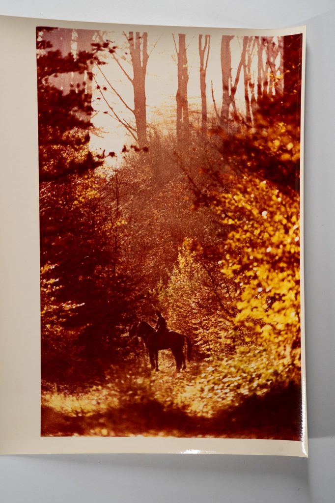 PHOTO Argentique France chasse à courre vénerie cheval 24x30cm 1970