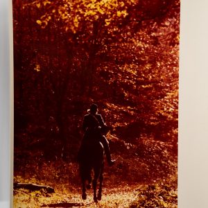 PHOTO Argentique	France	chasse à courre vénerie cheval	24x30cm	1970