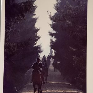 PHOTO Argentique	France	chasse à courre vénerie cheval	24x30cm	1970