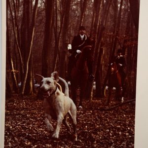 PHOTO Argentique	France	chasse à courre vénerie cheval	24x30cm	1970