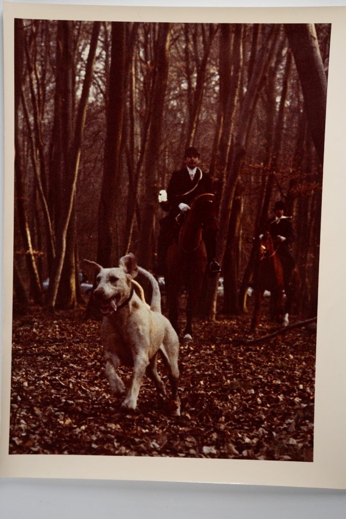 PHOTO Argentique France chasse à courre vénerie cheval 24x30cm 1970