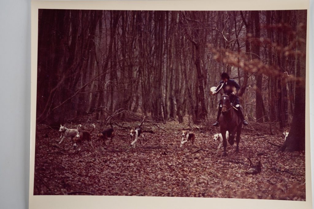 PHOTO Argentique France chasse à courre vénerie cheval 24x30cm 1970
