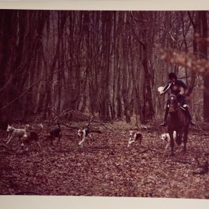 PHOTO Argentique	France	chasse à courre vénerie cheval	24x30cm	1970