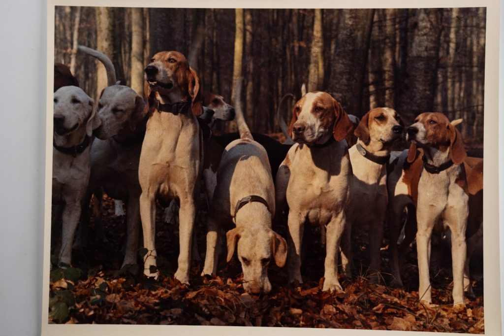 PHOTO Argentique France chasse à courre vénerie cheval 24x30cm 1970
