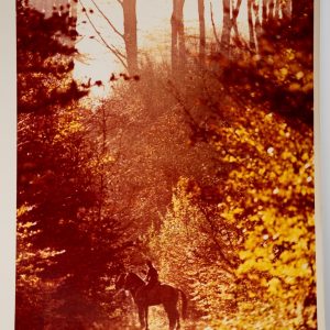 PHOTO Argentique	France	chasse à courre vénerie cheval	24x30cm	1970