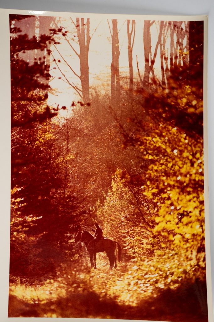 PHOTO Argentique France chasse à courre vénerie cheval 24x30cm 1970