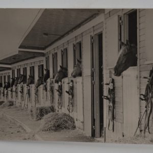 PHOTO Argentique France écurie chevaux panoramique 13X28cm 1970