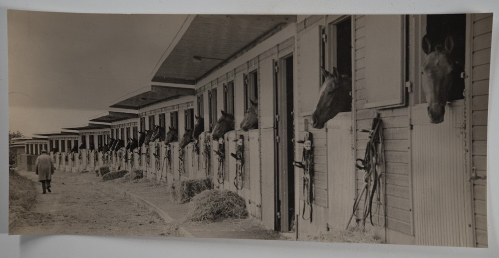 PHOTO Argentique France écurie chevaux panoramique 13X28cm 1970