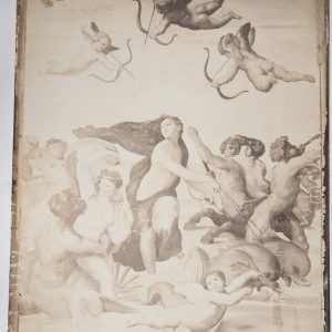 Photo Albumine	France	Raphaël, triomphe de Galatée à la Farnésine	24X32cm	1880