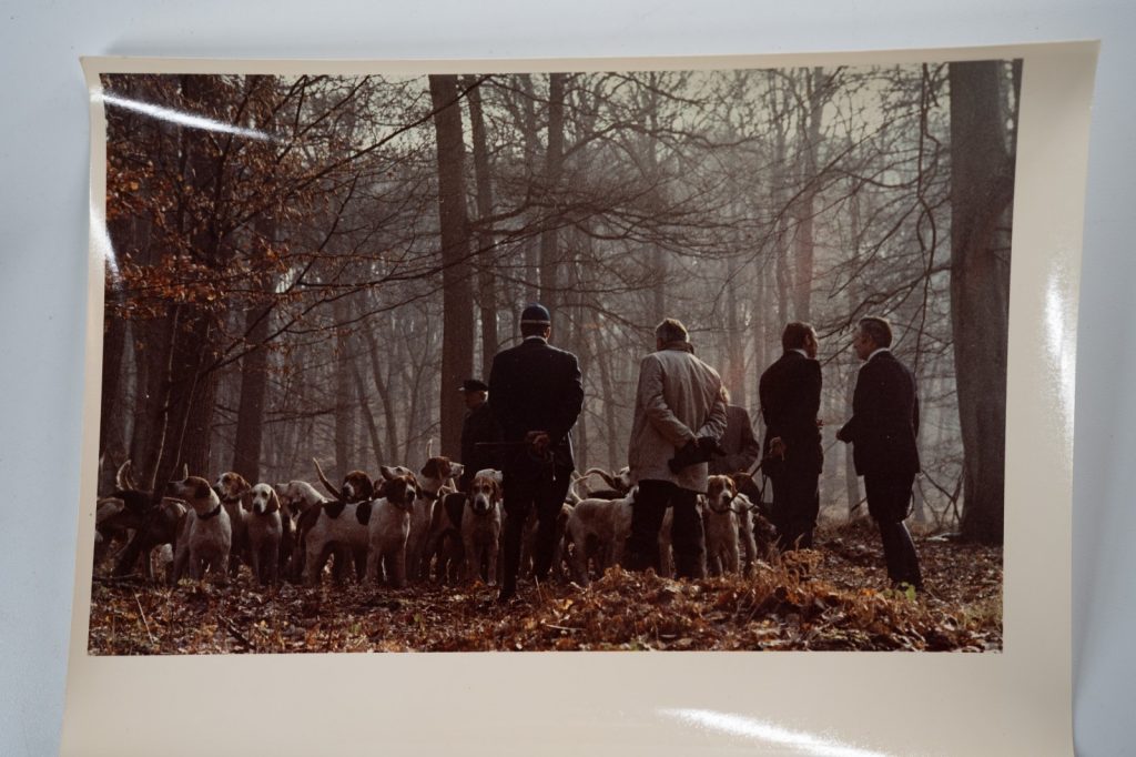PHOTO Argentique	France	chasse à courre vénerie cheval chien 18X24cm	1970