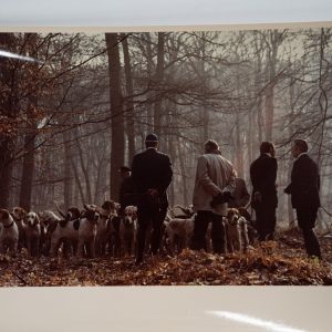 PHOTO Argentique	France	chasse à courre vénerie cheval chien 18X24cm	1970
