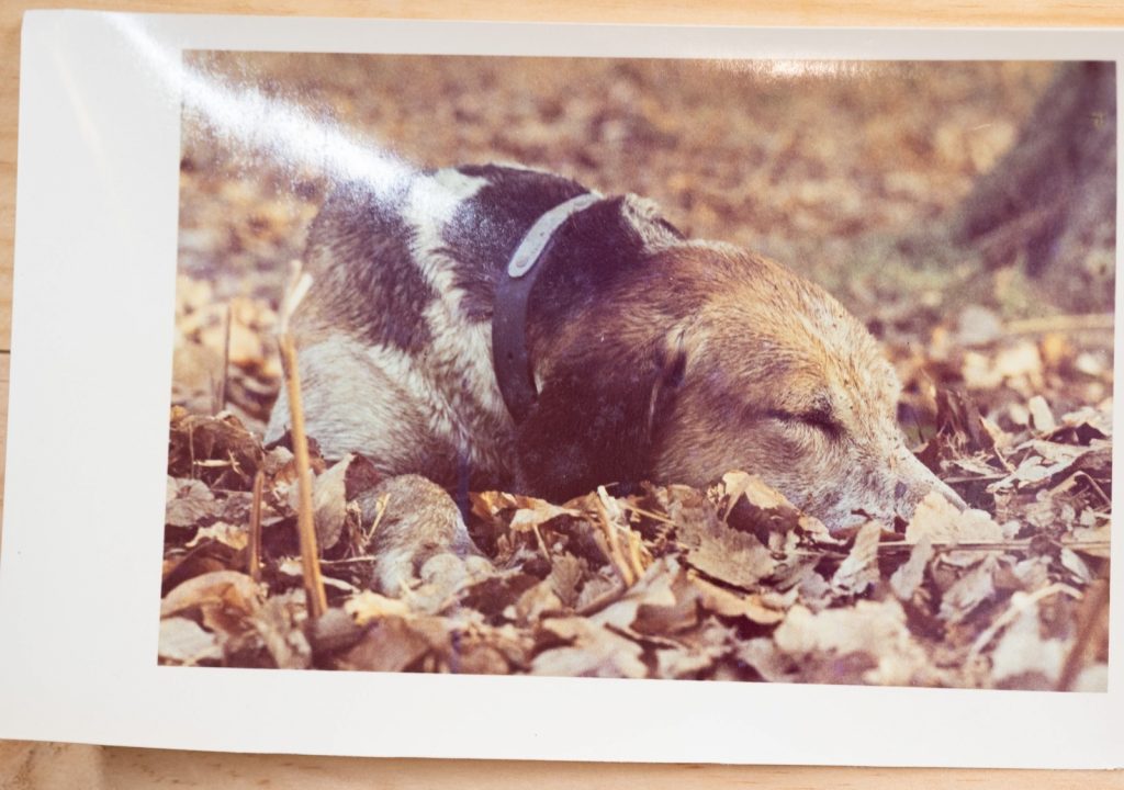 PHOTO Argentique, RC	France	chasse à courre vénerie cheval 	10x15cm	1970