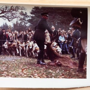 PHOTO Argentique France chasse à courre vénerie cheval CHIEN 7X10cm 1970