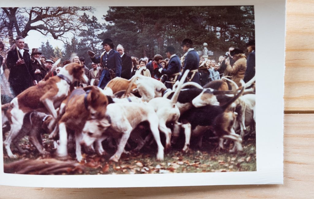 PHOTO Argentique	France	chasse à courre vénerie cheval CHIEN 7X10cm	1970