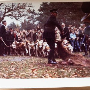 PHOTO Argentique France chasse à courre vénerie cheval CHIEN 7X10cm 1970