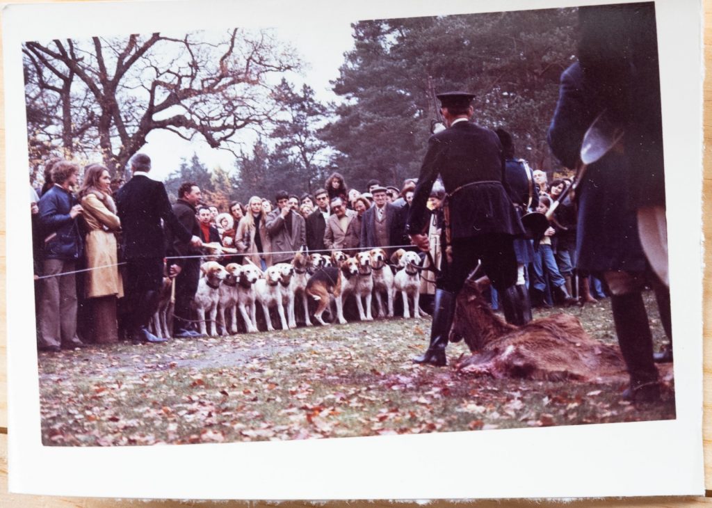 PHOTO Argentique	France	chasse à courre vénerie cheval CHIEN 7X10cm	1970