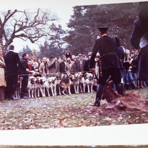 PHOTO Argentique France chasse à courre vénerie cheval CHIEN 7X10cm 1970