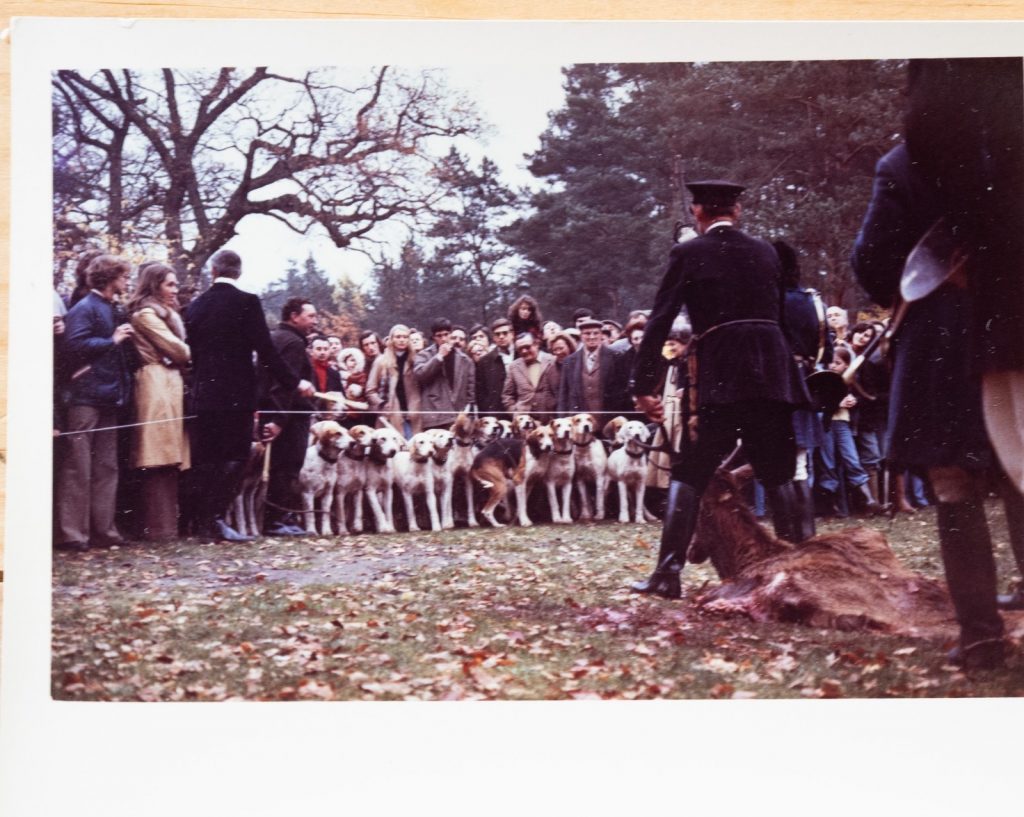 PHOTO Argentique	France	chasse à courre vénerie cheval CHIEN 7X10cm	1970