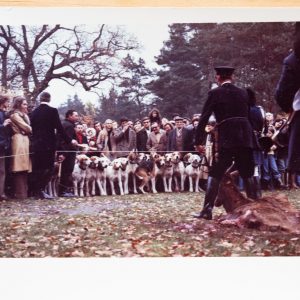 PHOTO Argentique France chasse à courre vénerie cheval CHIEN 7X10cm 1970