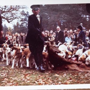 PHOTO Argentique France chasse à courre vénerie cheval CHIEN 7X10cm 1970