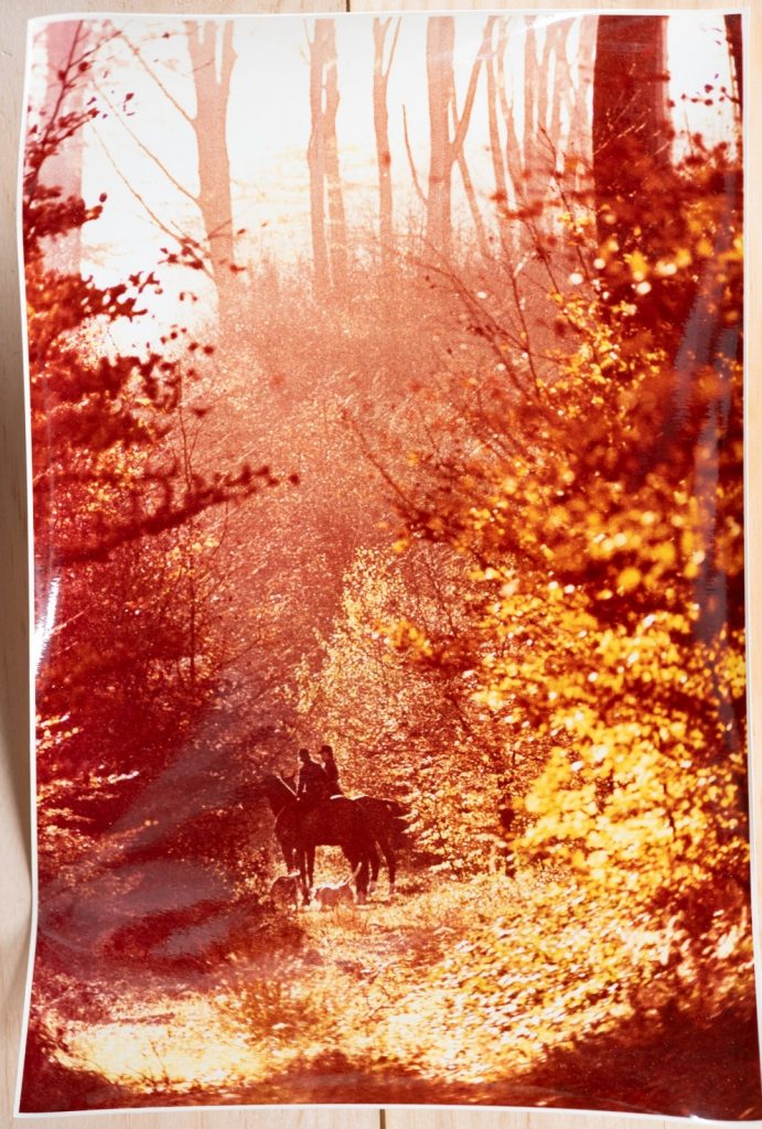 PHOTO Argentique France chasse à courre vénerie cheval	19X29cm	1970