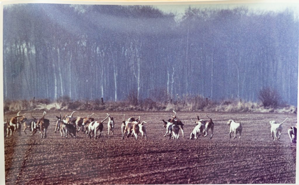 PHOTO Argentique France	chasse à courre vénerie cheval	15X23	1970