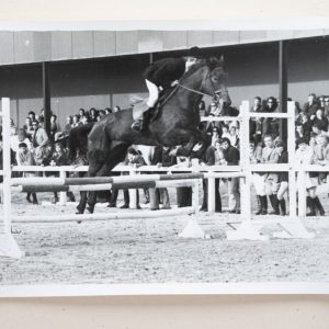 PHOTO Argentique	France	Equitation cheval saut d'obstacles	13X17cm	1970
