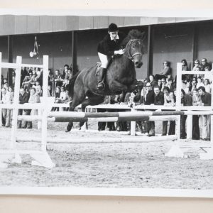 PHOTO Argentique	France	Equitation cheval saut d'obstacles	13X17cm	1970