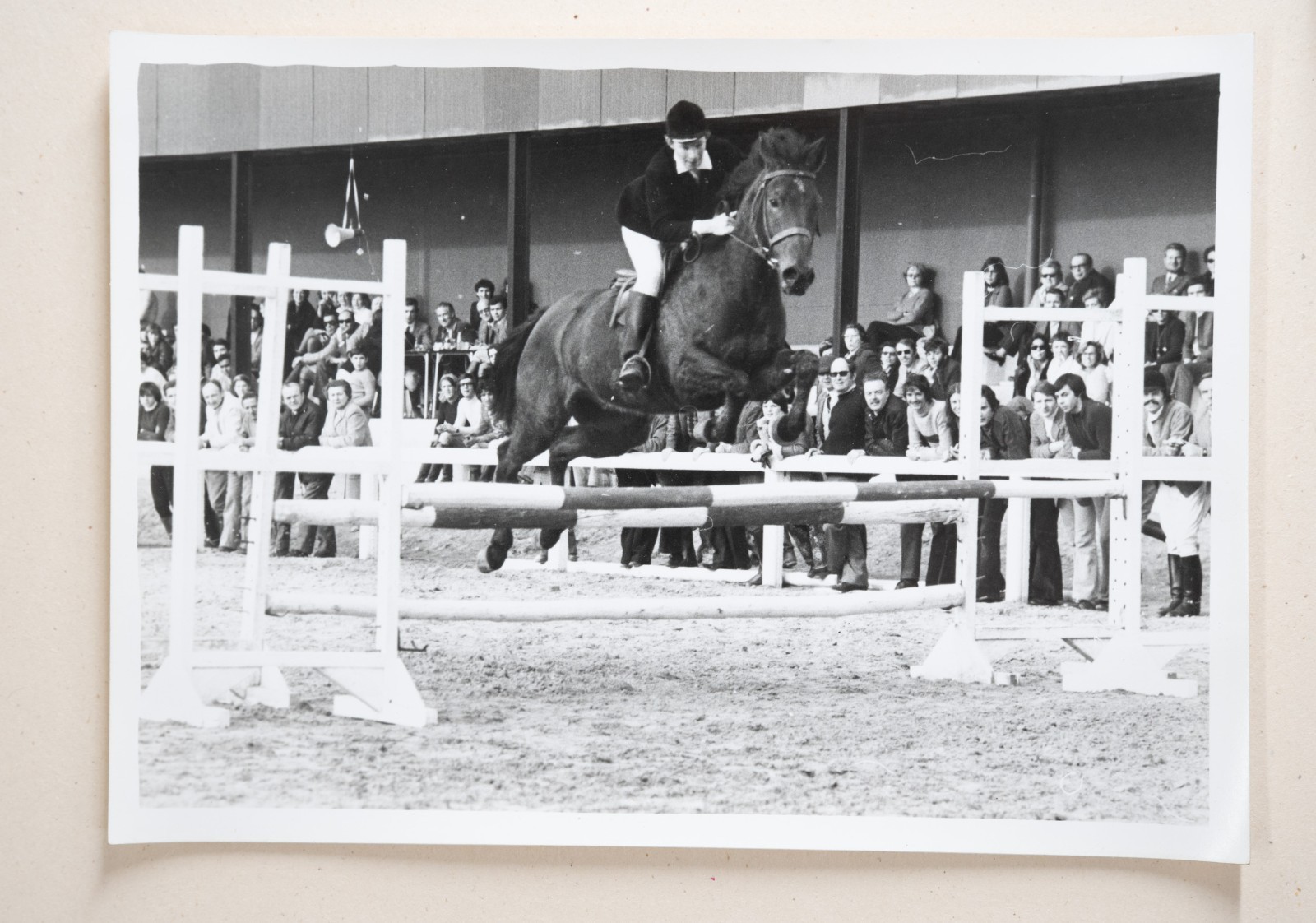 PHOTO Argentique France Equitation cheval saut d'obstacles 13X17cm 1970