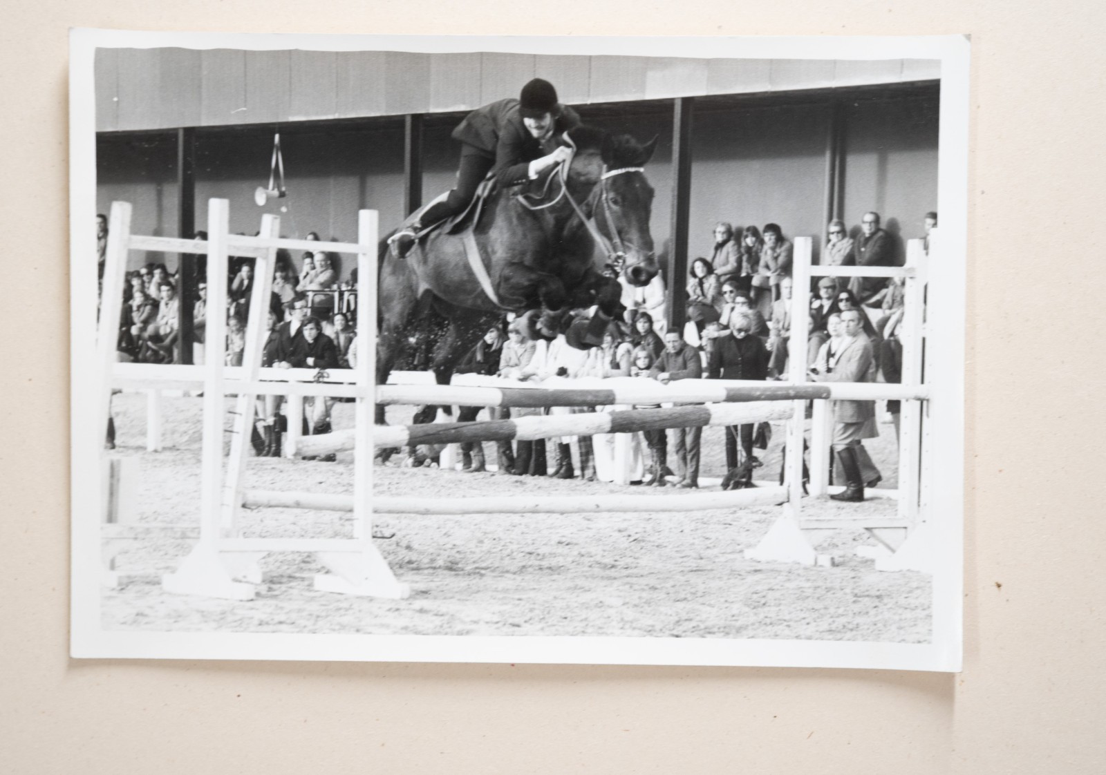 PHOTO Argentique France Equitation cheval saut d'obstacles 13X17cm 1970