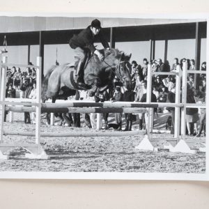 PHOTO Argentique	France	Equitation cheval saut d'obstacles	13X17cm	1970