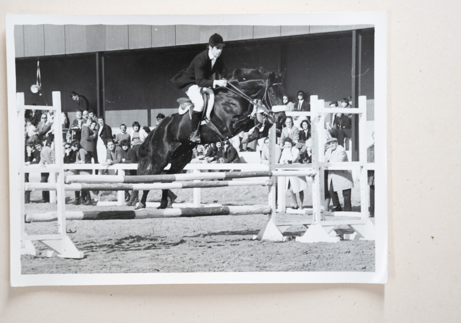 PHOTO Argentique France Equitation cheval saut d'obstacles 13X17cm 1970