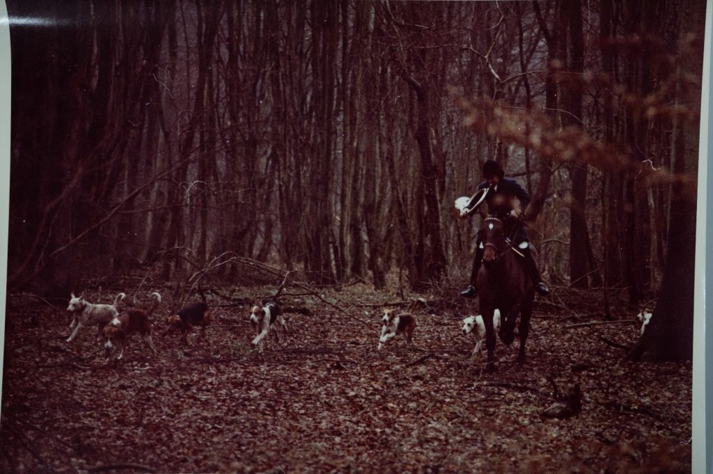 PHOTO Argentique	France	chasse à courre vénerie cheval 24x30cm	1970