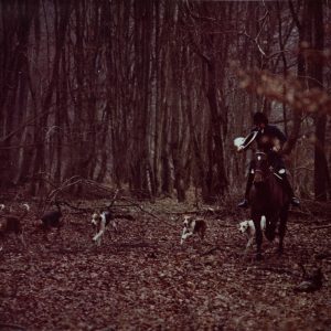 PHOTO Argentique	France	chasse à courre vénerie cheval 24x30cm	1970